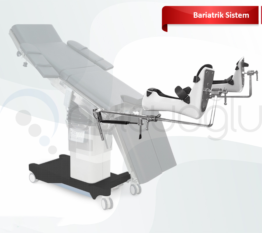 Bariatrik  Sistem
