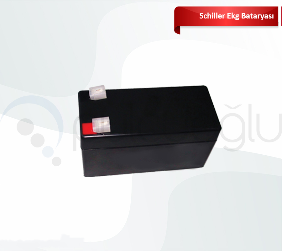 Schiller Ekg Cihazı Bataryası